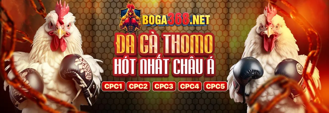 cm88r Ứng Dụng Cá Cược Di Động